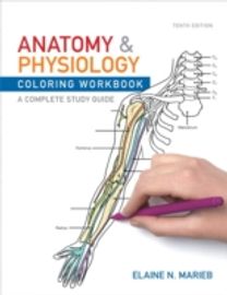 Anatomy and Physiology Coloring Workbook Anatomy and Physiology Coloring Workbook