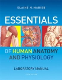 Essentials of Human Anatomy & Physiology Laboratory Manual Essentials of Human Anatomy & Physiology Laboratory Manual