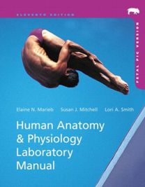 Human Anatomy & Physiology Laboratory Manual with Masteringa&p, Fetal Pig Version Human Anatomy & Physiology Laboratory Manual with Masteringa&p, Fetal Pig Version
