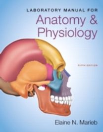 Laboratory Manual for Anatomy & Physiology Laboratory Manual for Anatomy & Physiology