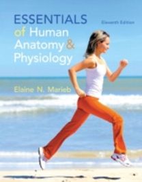 Essentials of Human Anatomy & Physiology Essentials of Human Anatomy & Physiology