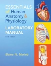 Essentials of Human Anatomy & Physiology Laboratory Manual Essentials of Human Anatomy & Physiology Laboratory Manual
