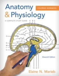 Anatomy and Physiology Coloring Workbook Anatomy and Physiology Coloring Workbook
