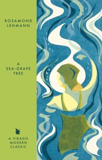 Sea-Grape Tree