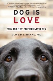 Dog is Love