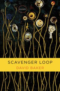 Scavenger Loop