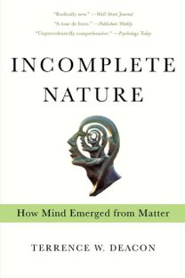 Incomplete Nature