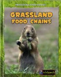 Grassland Food Chains