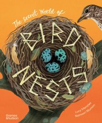 Secret World of Bird Nests