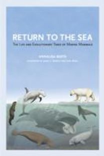 Return to the Sea