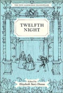 Twelfth Night or What You will