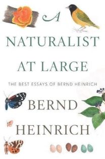 Naturalist at Large, a