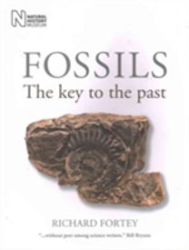 Fossils