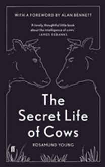 The Secret Life of Cows