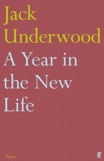 A Year in the New Life