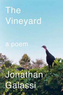Vineyard