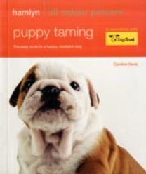 Puppy Taming