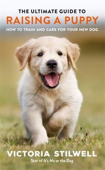 Ultimate Guide to Raising a Puppy