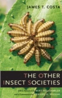 Other Insect Societies