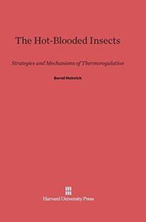 The Hot-Blooded Insects