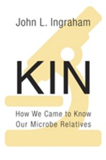 Kin
