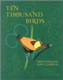 Ten Thousand Birds