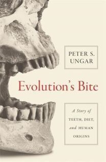 Evolution's Bite Evolution's Bite