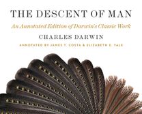 Descent of Man