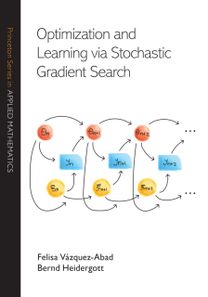 Optimization and Learning via Stochastic Gradient Search