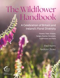 Wildflower Handbook