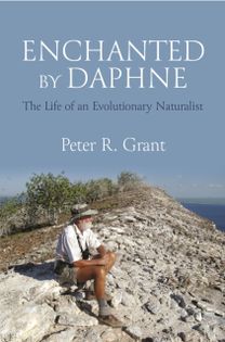 Enchanted by Daphne Enchanted by Daphne