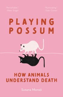 Playing Possum Playing Possum