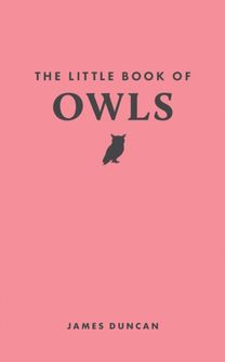 Little Book of Owls