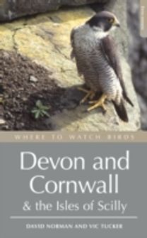 Where to Watch Birds in Devon and Cornwall