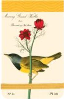 Audubon Warblers Mini Journal