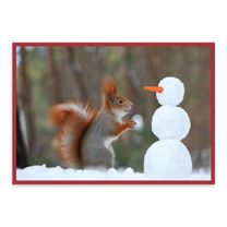Snow Friends Notecards