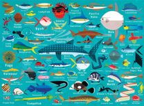 Ocean Life 1000Pc Family Puzzle