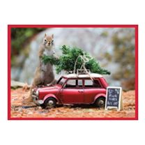 Secret Life of Squirrels Half Note