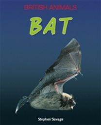 Bat