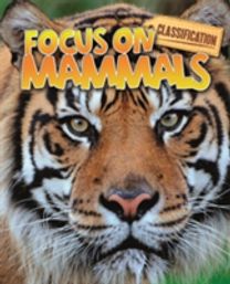 Mammals
