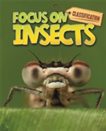 Insects