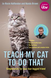 Teach My Cat to do that