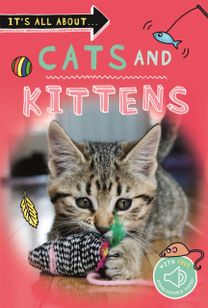It's All About... Cats and Kittens