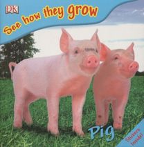 See how They Grow Pig