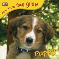 See how They Grow Puppy