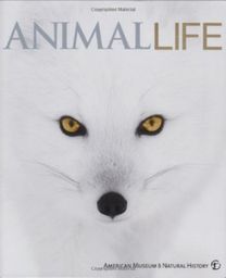 Animal Life
