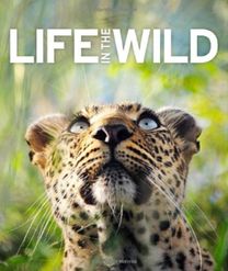 Life in the Wild