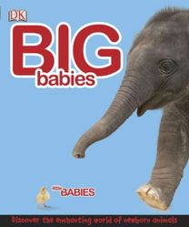 Big Babies, Little Babies