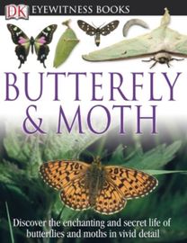Dk Eyewitness Books Butterfly and Moth