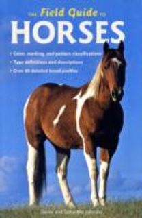Field Guide to Horses